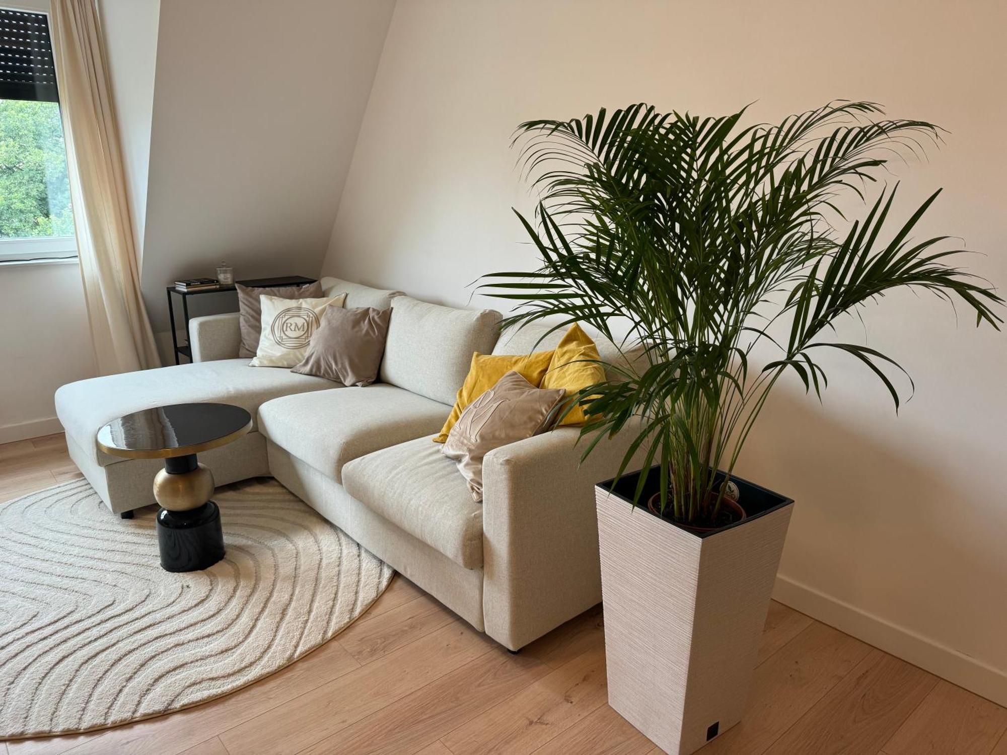 Moon Apartment Stary Toruń Zewnętrze zdjęcie