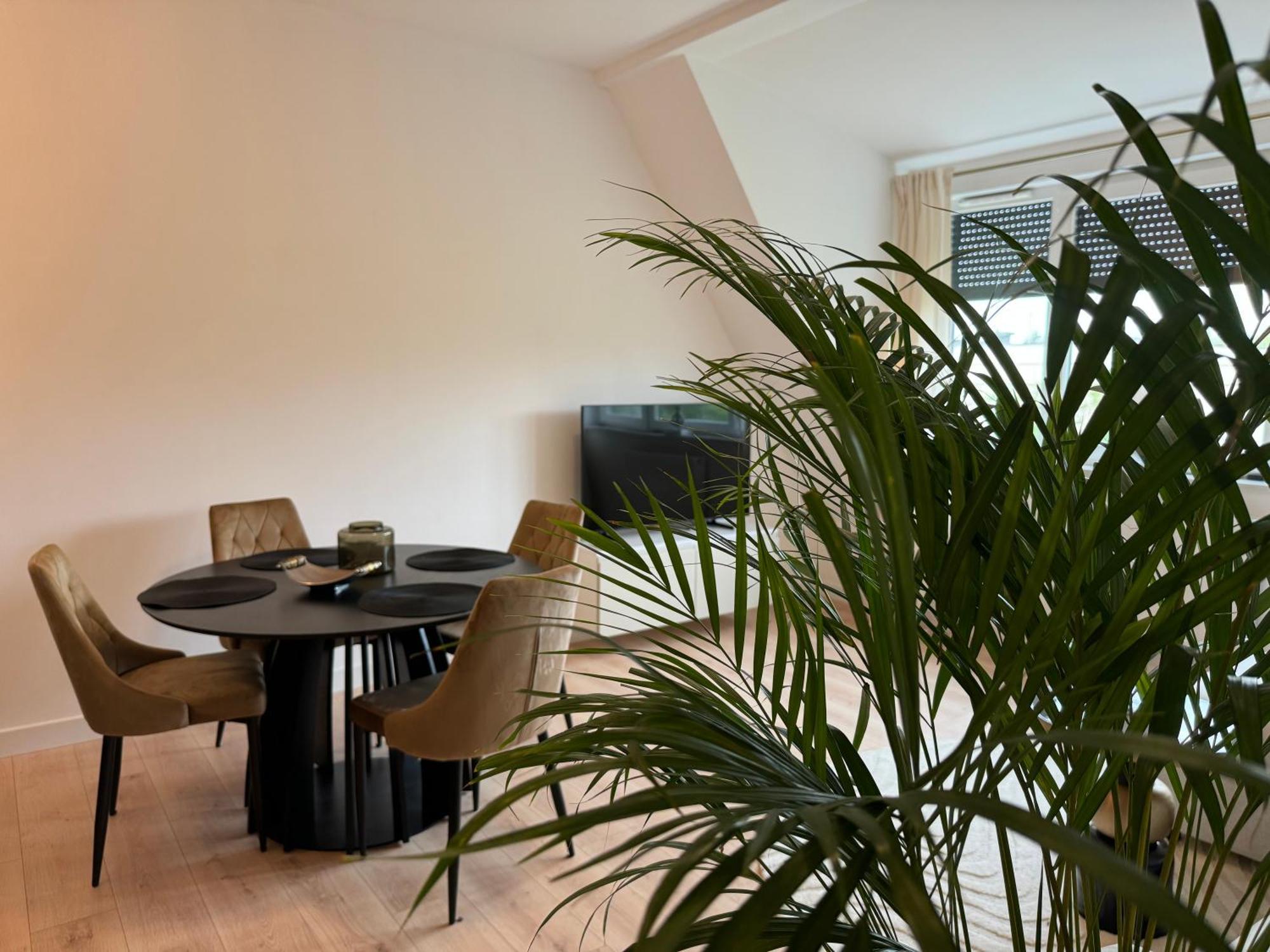 Moon Apartment Stary Toruń Zewnętrze zdjęcie